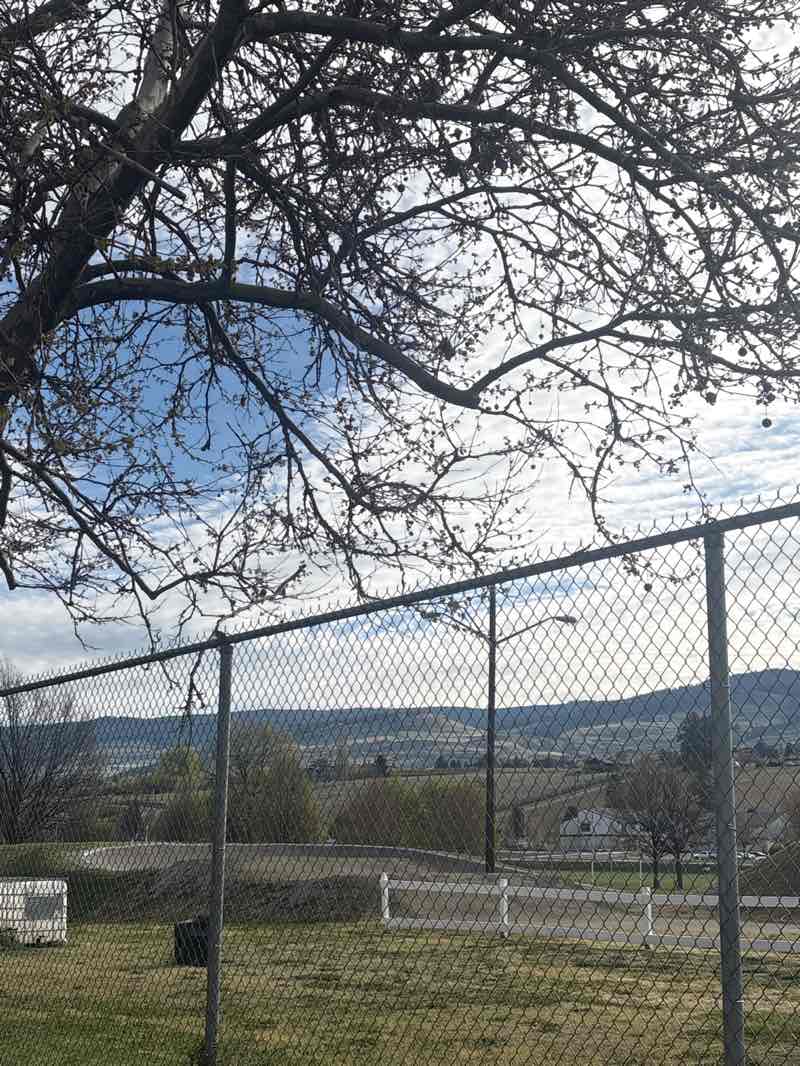 walking near me in Rutland Recreation Park in spring
