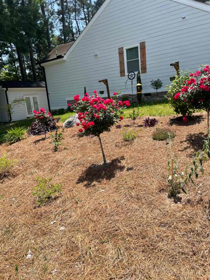 walking near me in Mingo Creek Park in winter