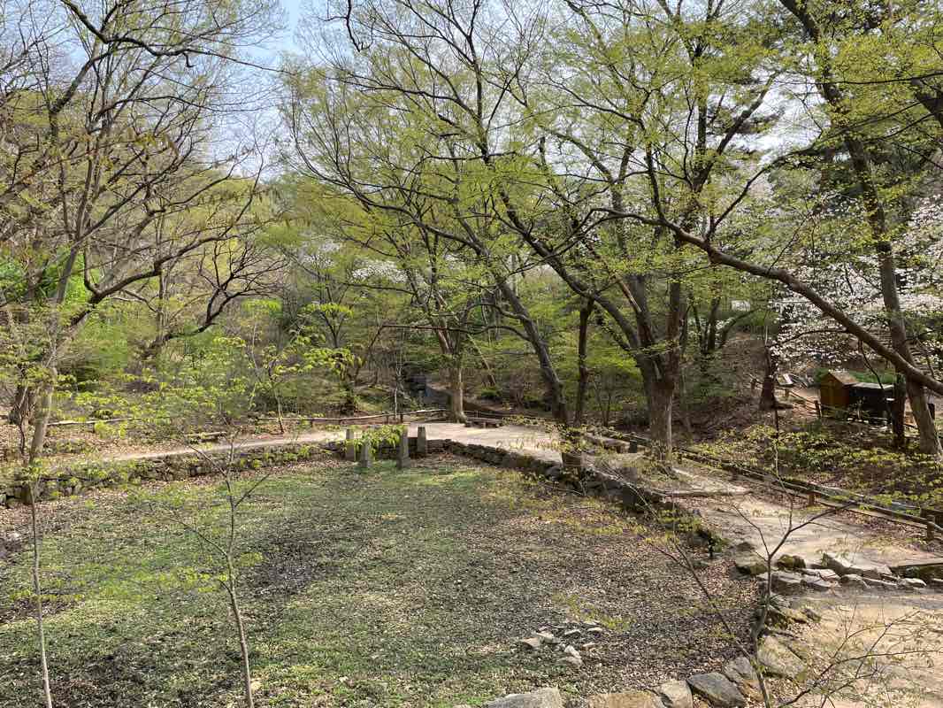 walking near me in Cheongun Park in winter