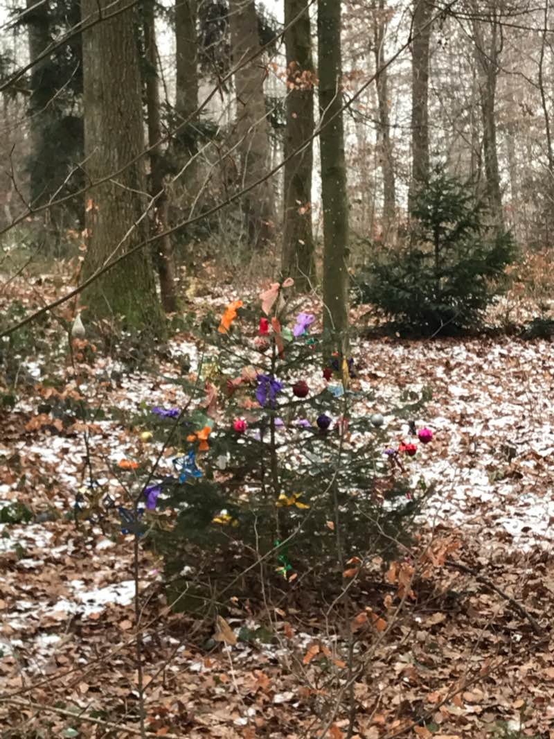 walking near me in Klinik-Park in winter