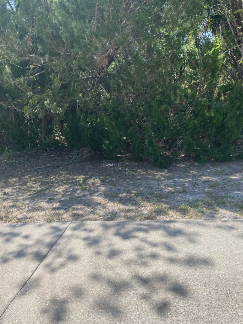 walking near me in Whistle Stop Park in winter