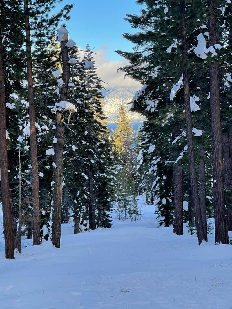 walking near me in Dollar Property in winter