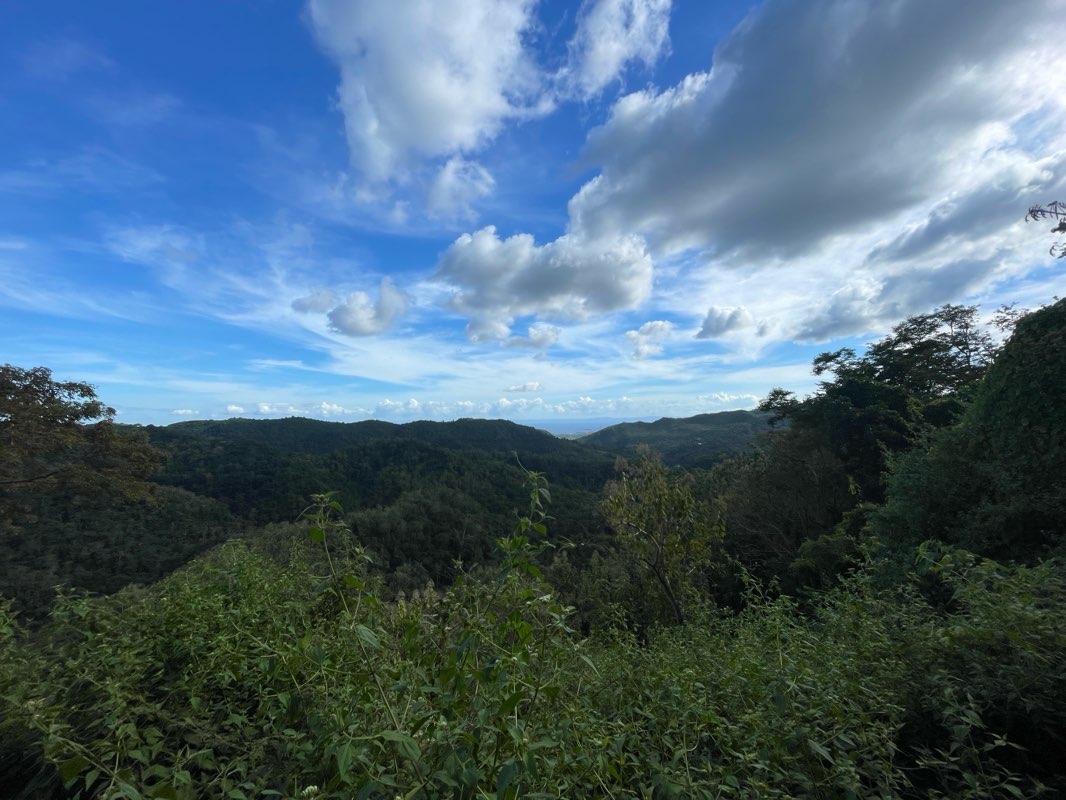 walking near me in Celestial Garden in winter