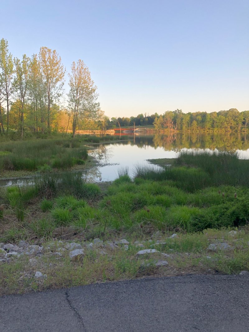 walking near me in Lake Torraine in winter