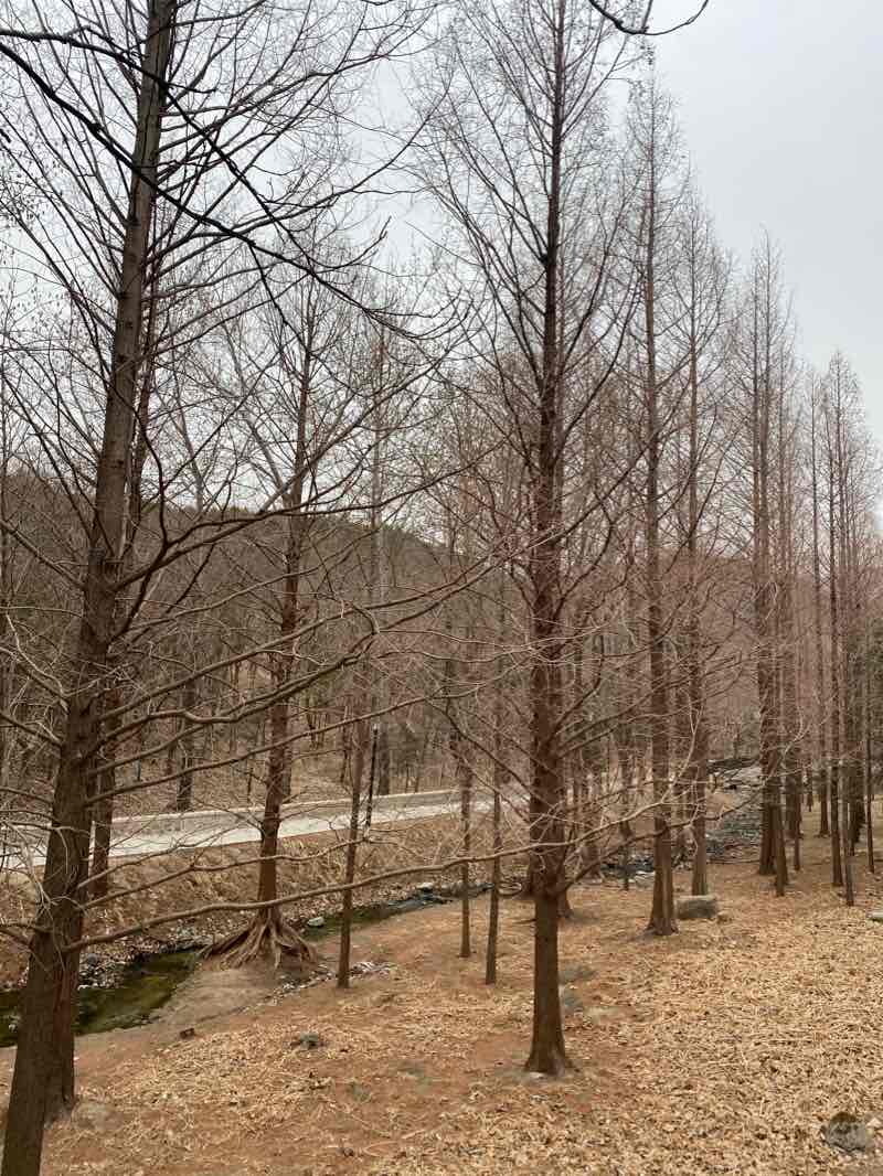 walking near me in Ming Dynasty Wall Ruins Park in winter
