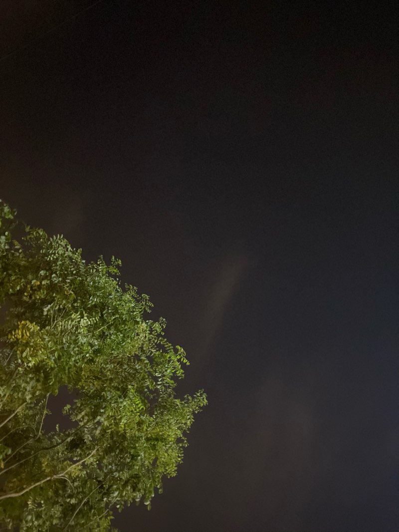 walking near me in Longtan Park in winter