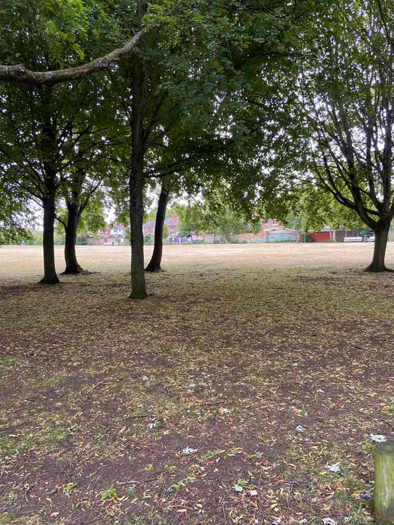 walking near me in Spring Gardens in summer