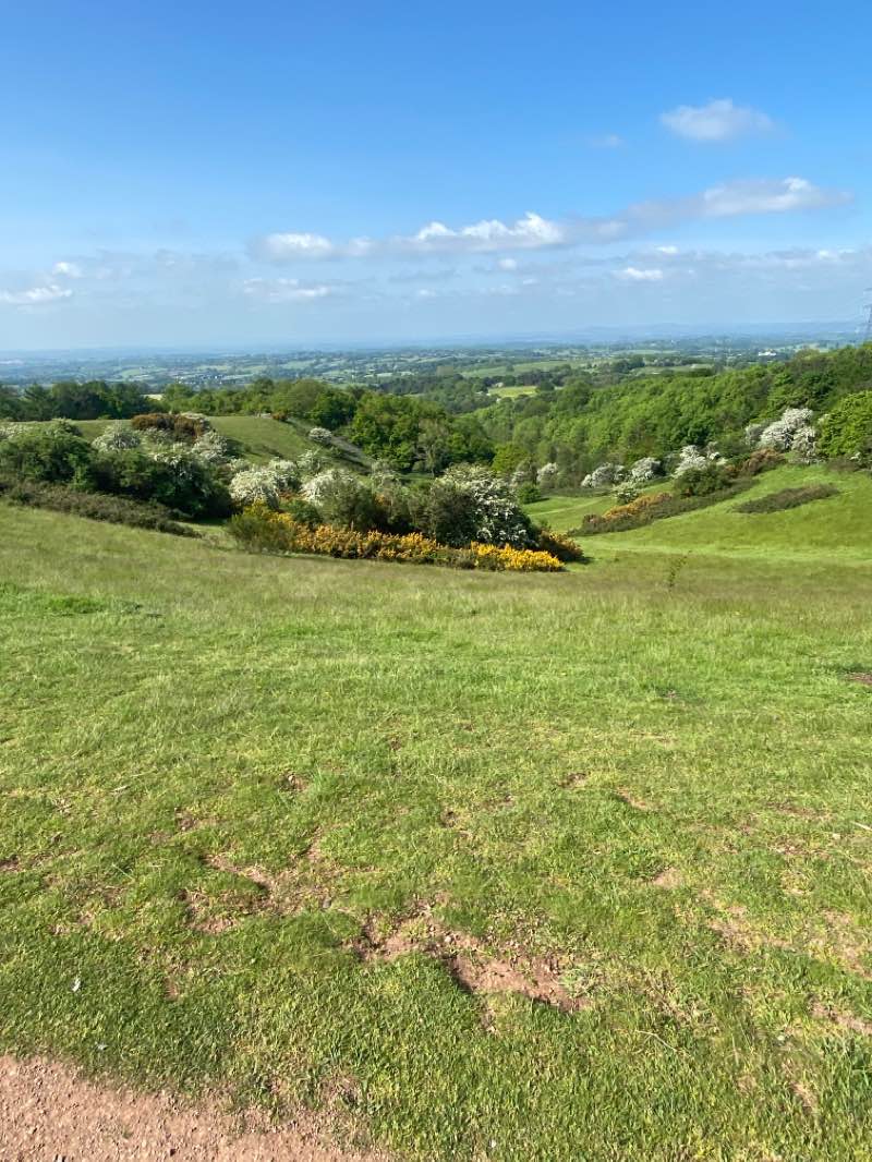 walking near me in Waseley Hills Country Park in winter