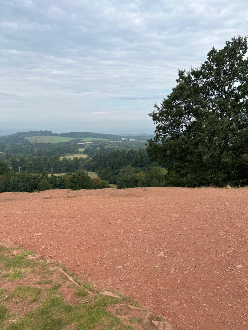 walking near me in Hagley Park in winter