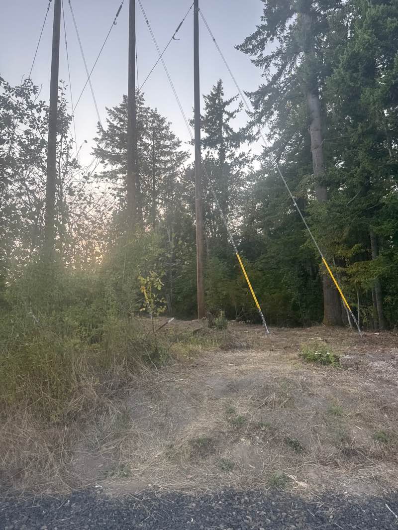 walking near me in Rock Creek Greenway in autumn
