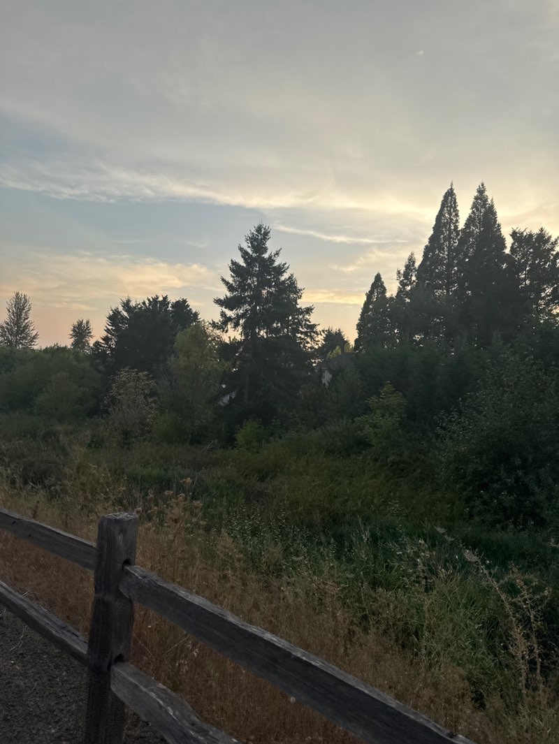 walking near me in Hansen Ridge Park in autumn