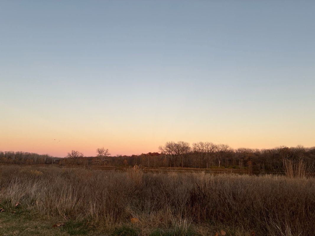 walking near me in Creve Coeur Lake Memorial Park in autumn