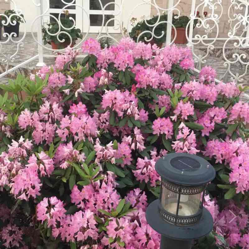 💥✨Dusha✨💥 post 2