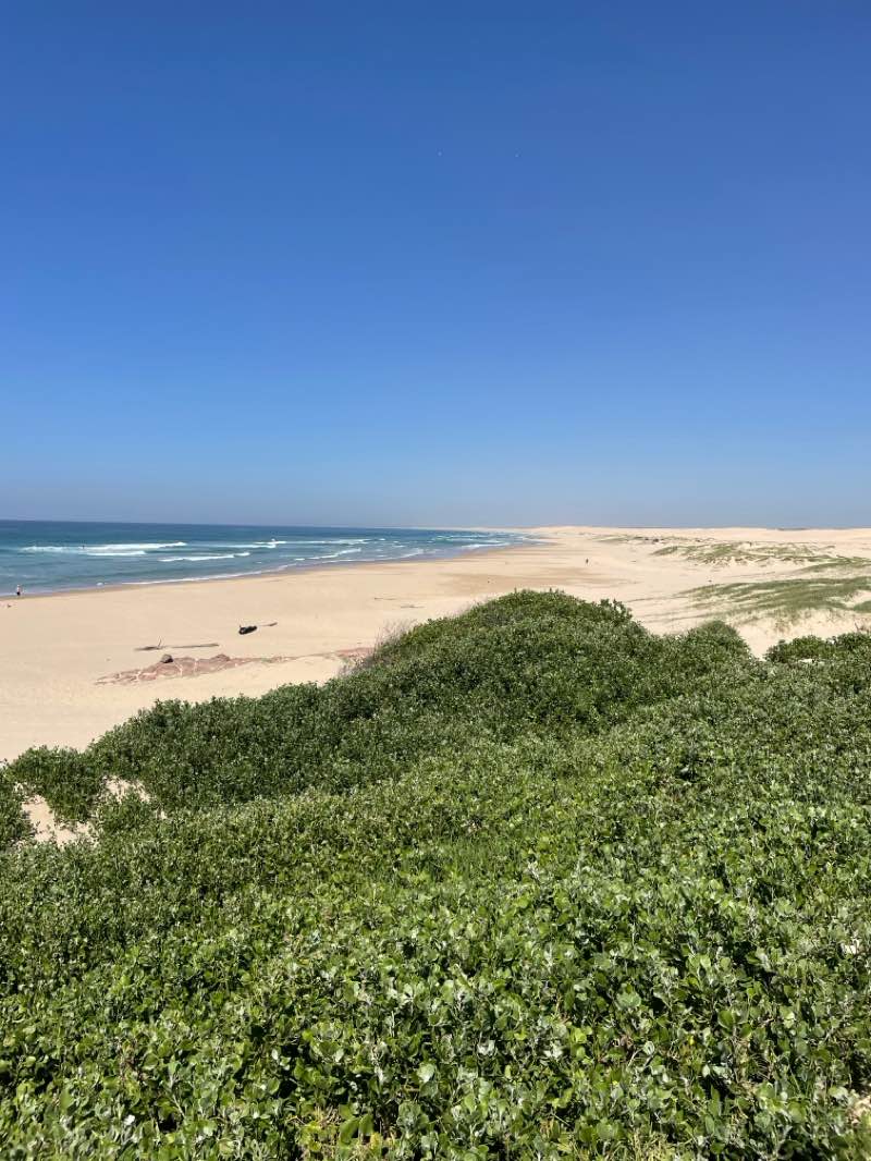 walking near me in Worimi Regional Park in spring