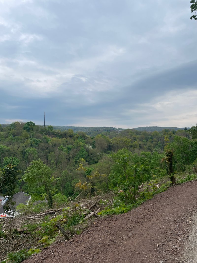 walking near me in Festungspark in winter