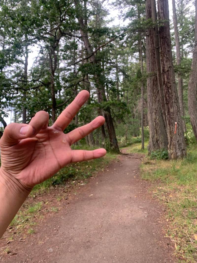 walking near me in Thetis Lake Regional Park in winter