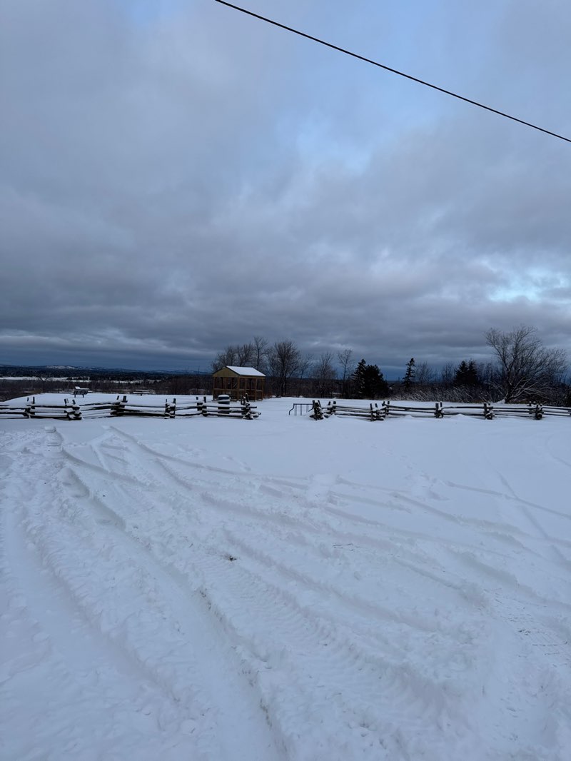 walking near me in Turner Park in autumn