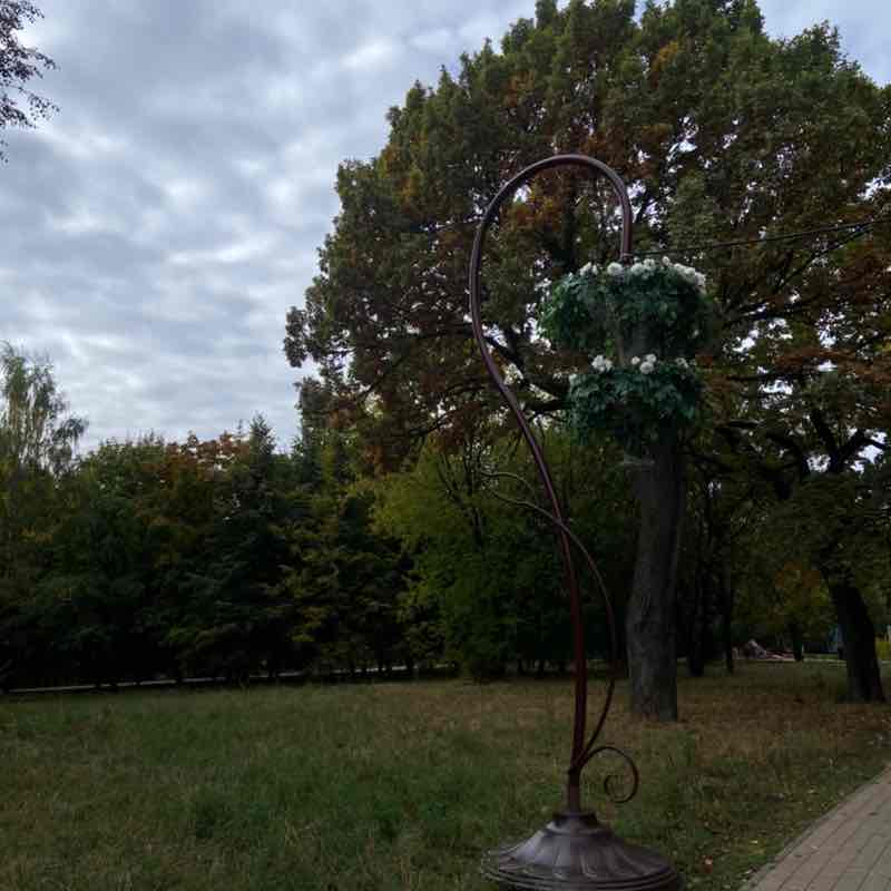 🔥Виктория🔥🖤🍾🍾🍾 post 2