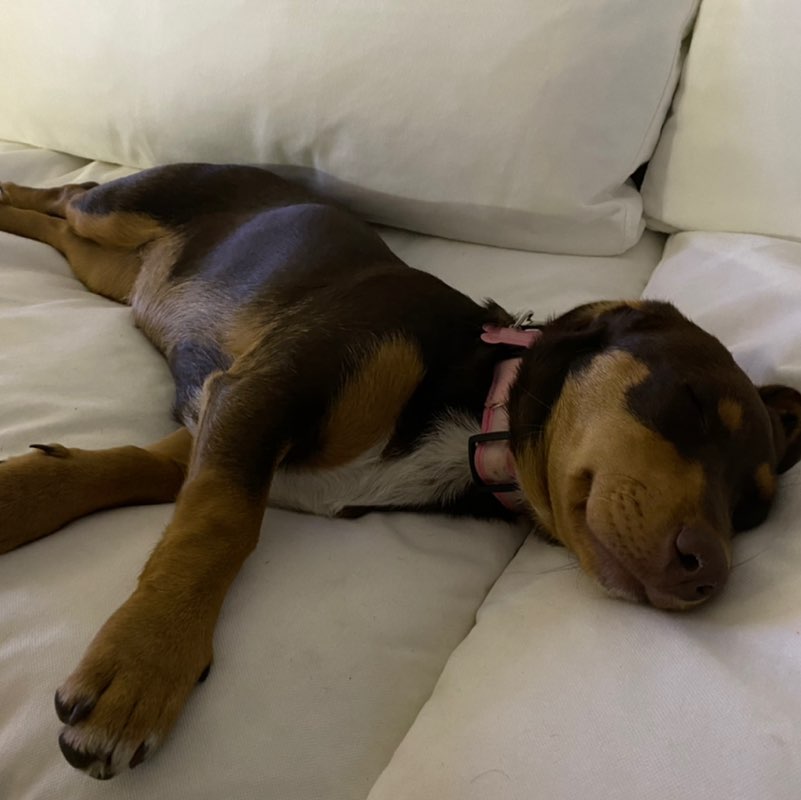 John O’Brien post 1