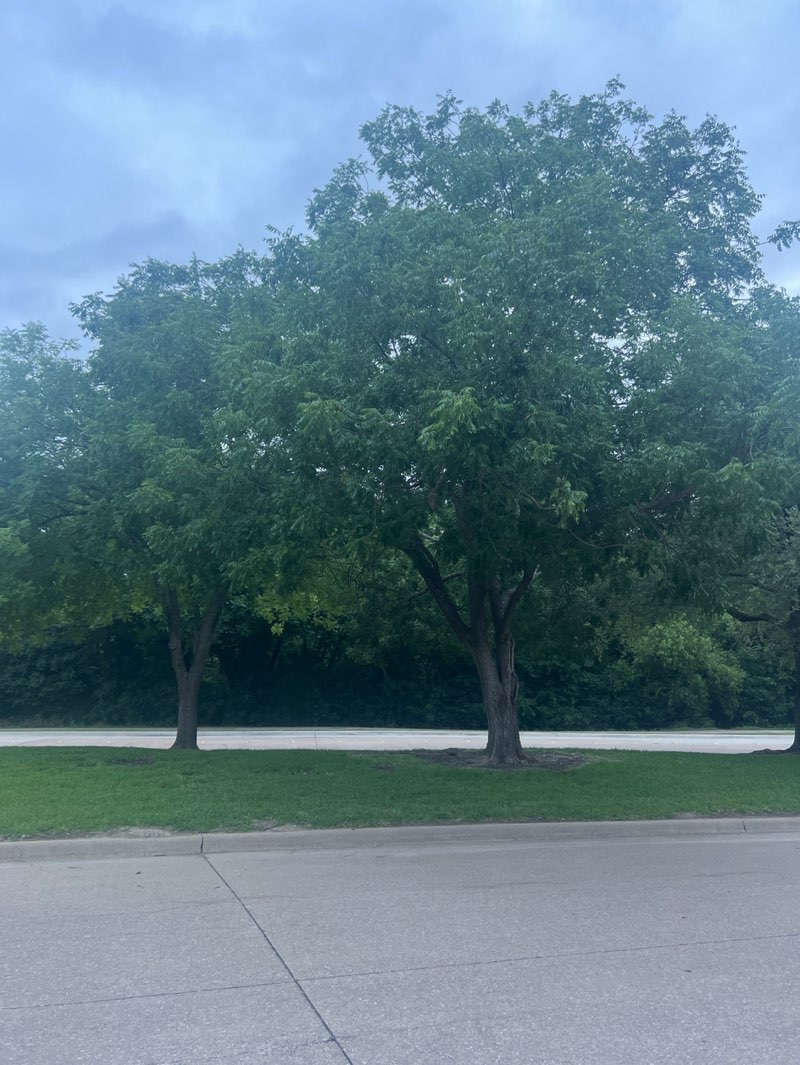walking near me in Russell Creek Park in summer