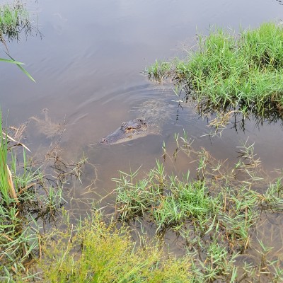 Jeanette Baldwin KH Safety post 3