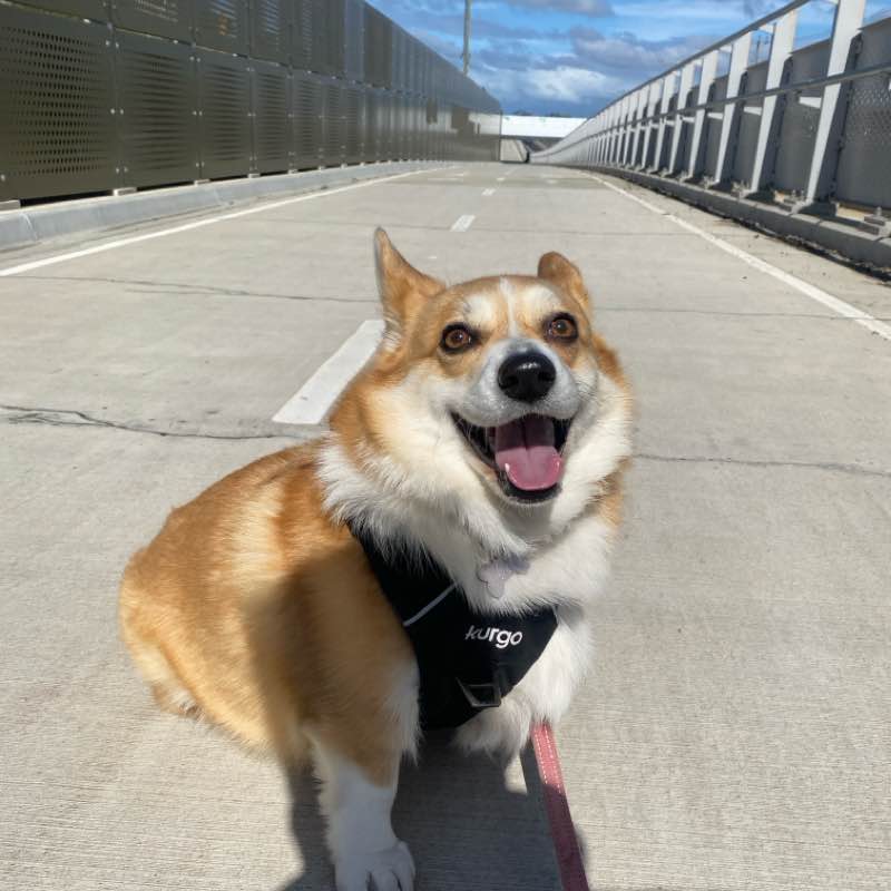 Happy Feet for STEPtember Brayden post image