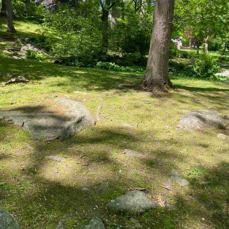 SWP Health Ministry CB post image