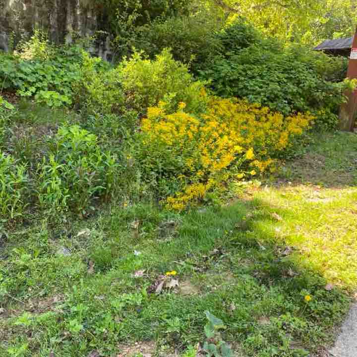 SWP Health Ministry CB post image