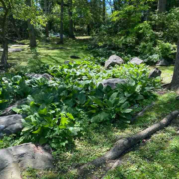 SWP Health Ministry CB post image