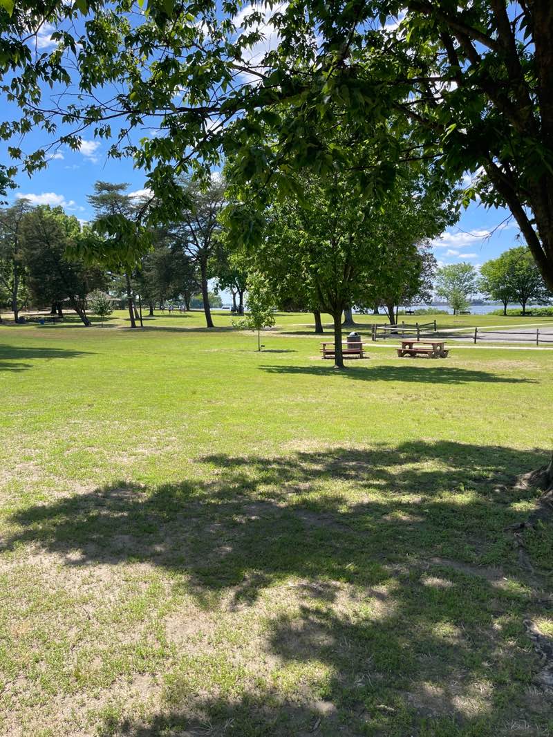 walking near me in Red Bank Battlefield in summer