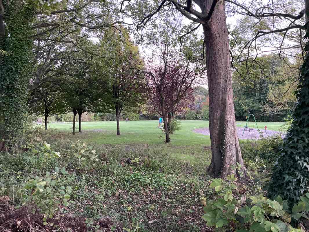 walking near me in Summerhill Park in autumn