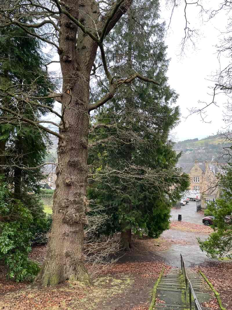 walking near me in 5 Arches Park in winter