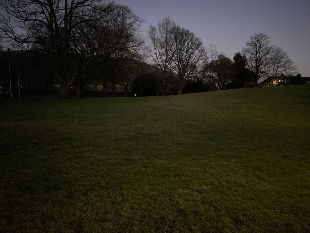 walking near me in Public Park in winter