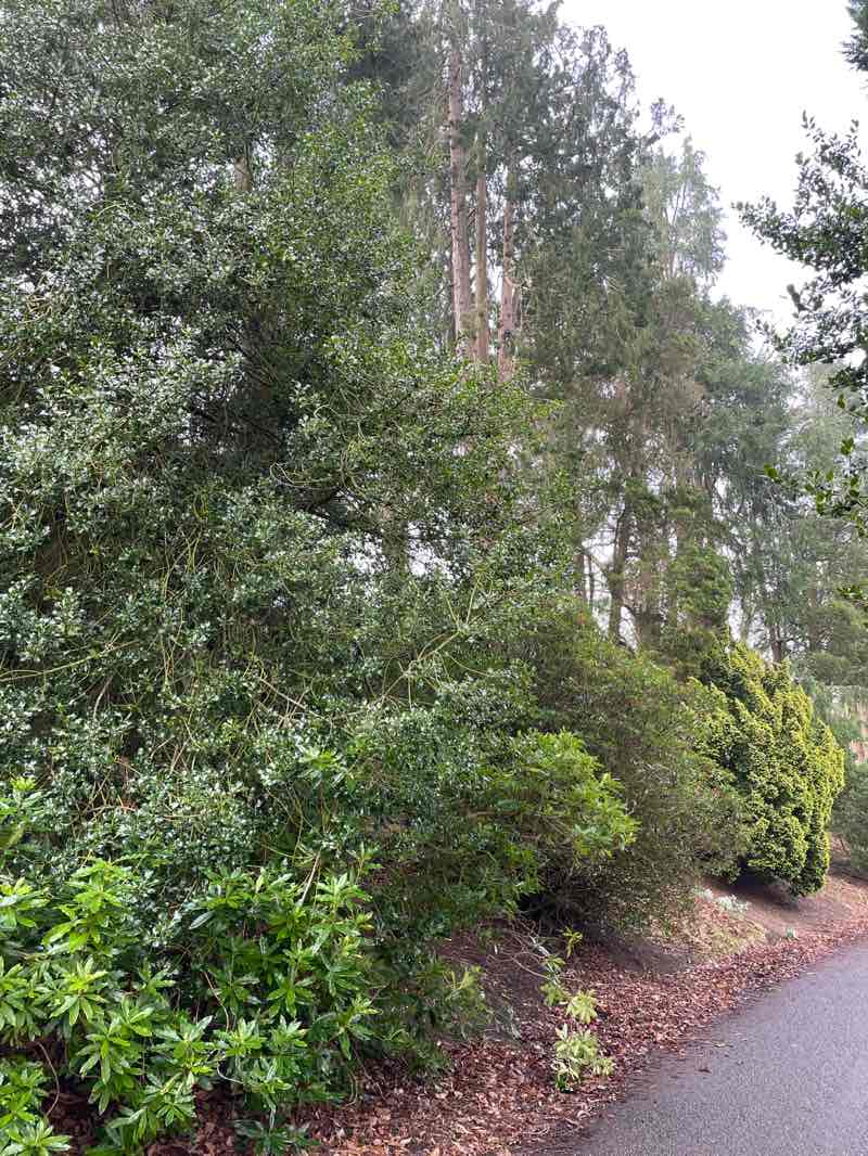 walking near me in Scott Park in spring