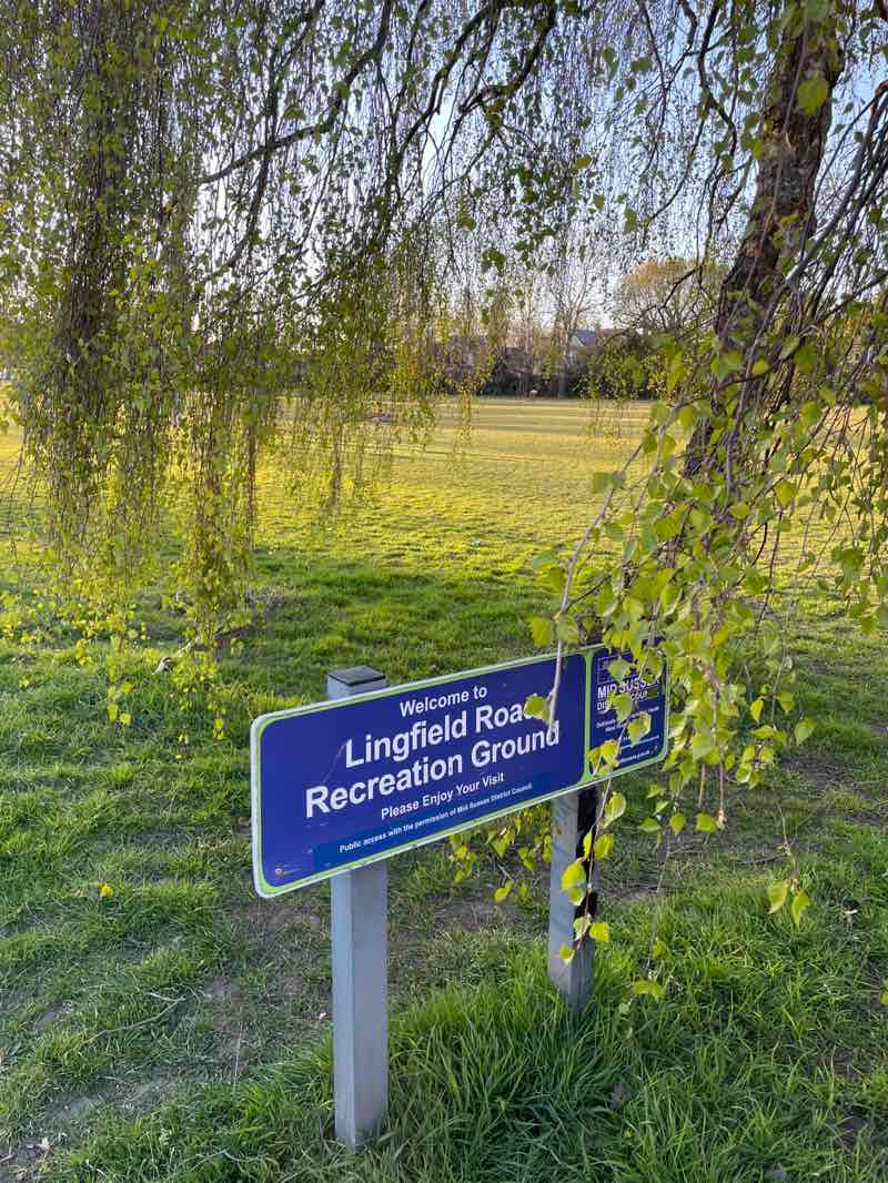 walking near me in Lingfield Road Recreation in spring