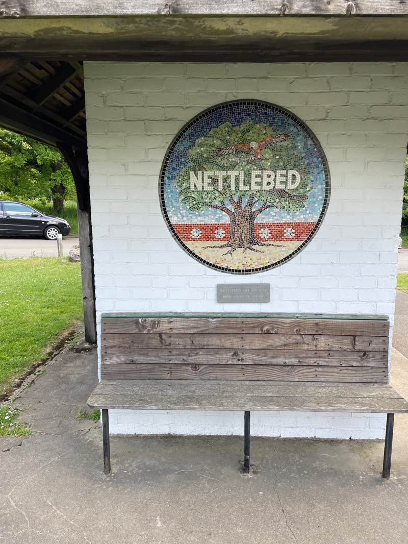 walking near me in Nettlebed Common in spring