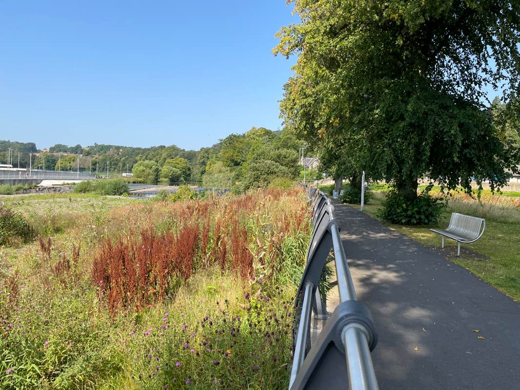 walking near me in The Haugh in autumn