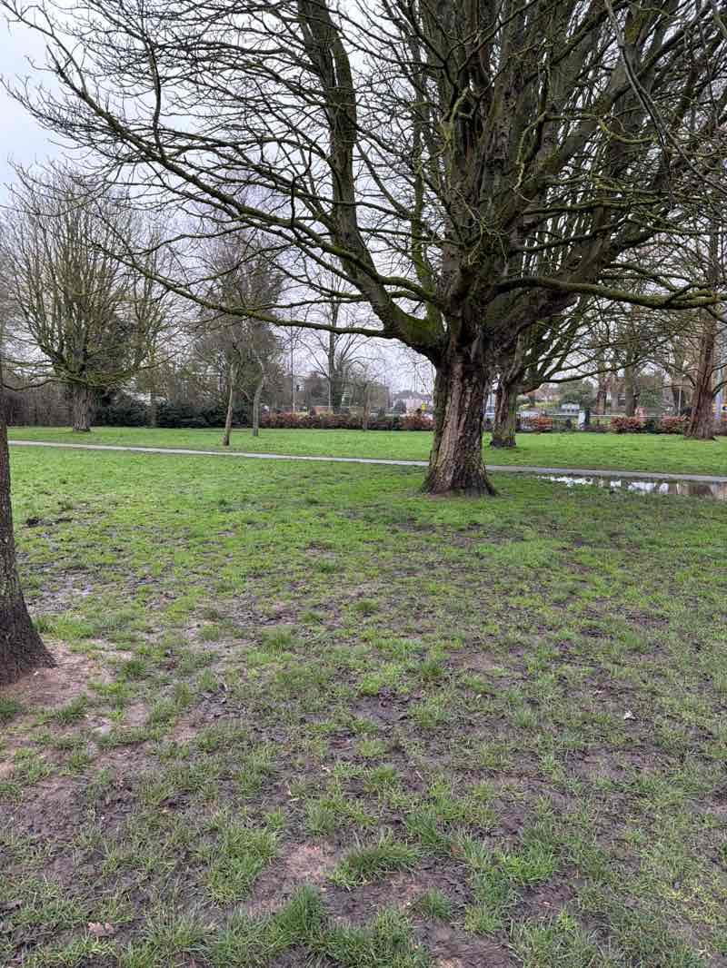 walking near me in Fordbridge Park in winter