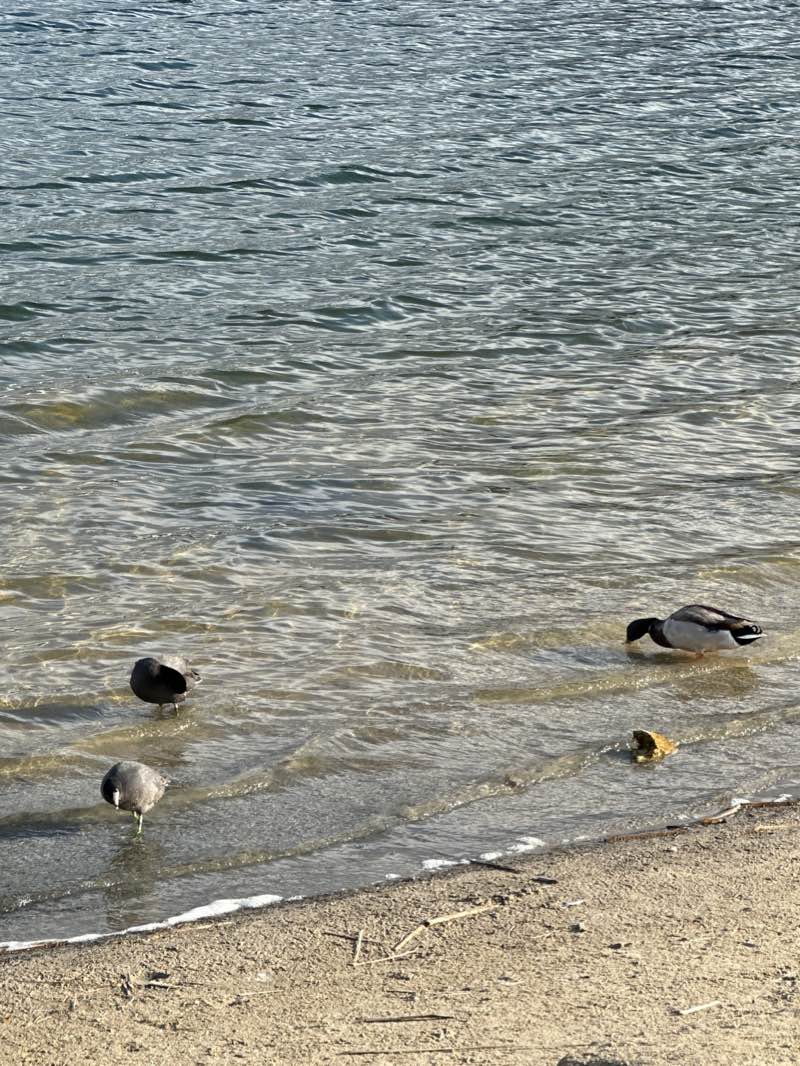 walking near me in Eastlake Park in winter