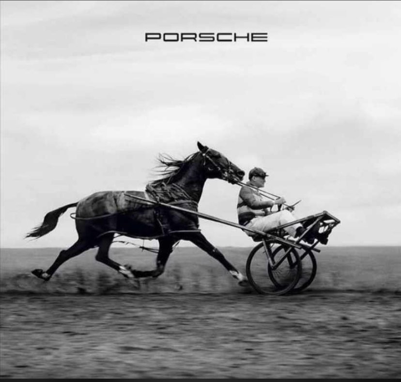 v.astamirov003 profile