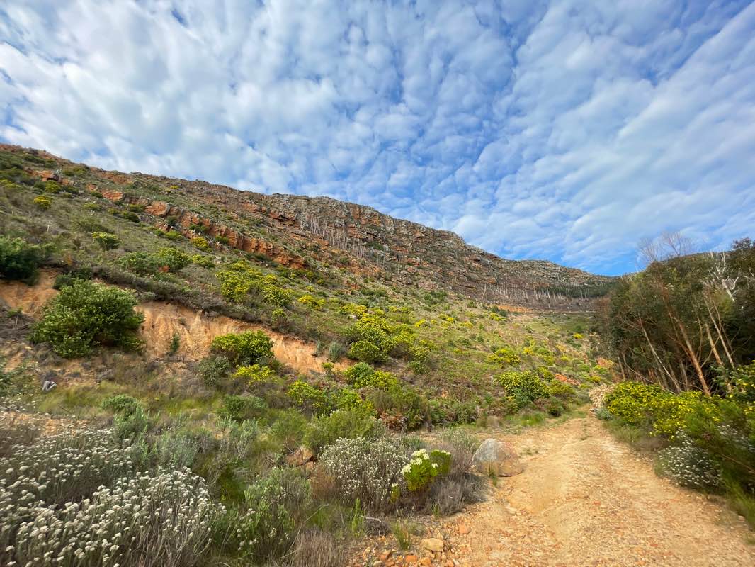 walking near me in Lower Tokai in summer