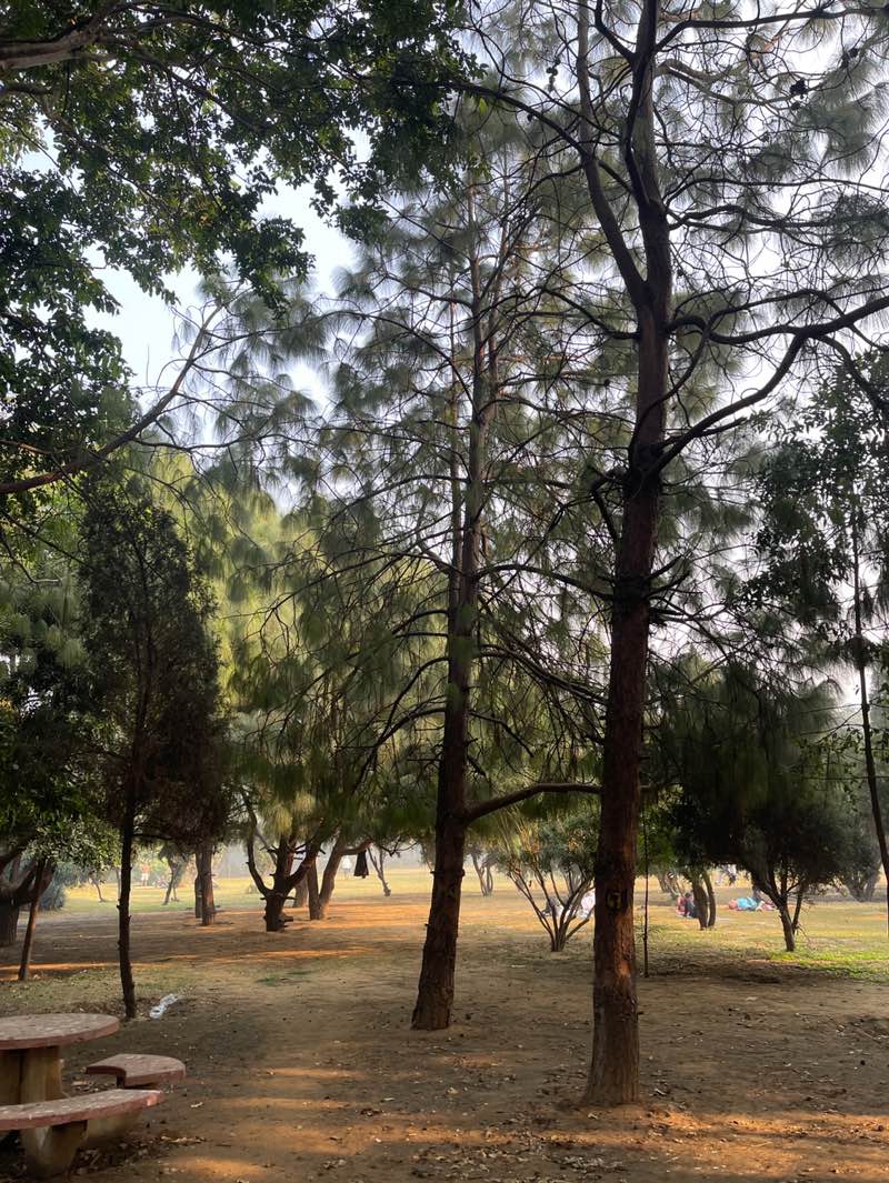 walking near me in Tau Devi Lal Bio-Diversity and Botonical Garden in autumn