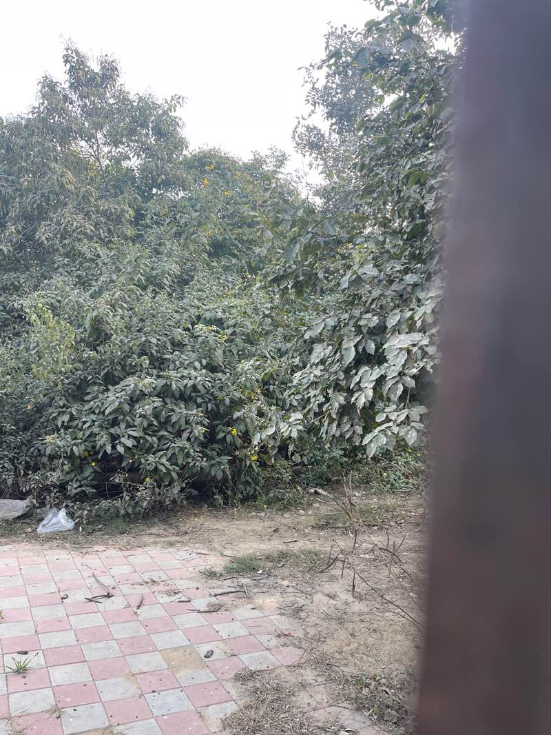 walking near me in Butterfly Park Gurgaon in winter