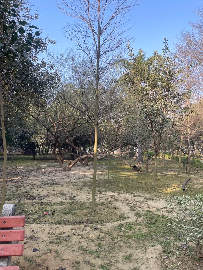 walking near me in Tau Devi Lal Bio-Diversity and Botonical Garden in winter