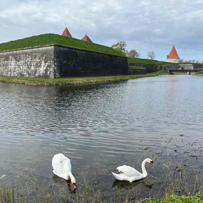 HTI Mariann Kilumets post 1