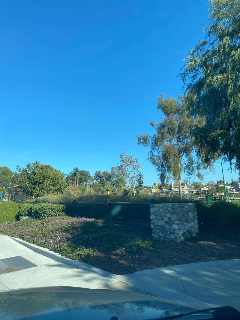 walking near me in Veterans Park in autumn