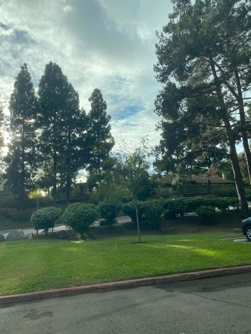 walking near me in Thibodo Park in autumn