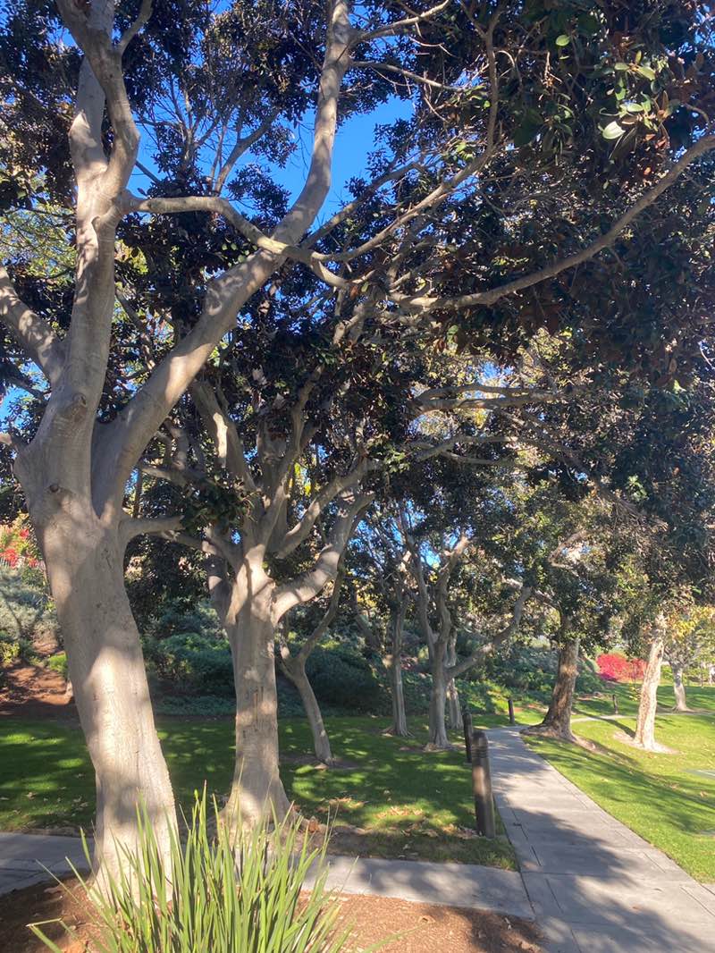 walking near me in Alton Park in winter