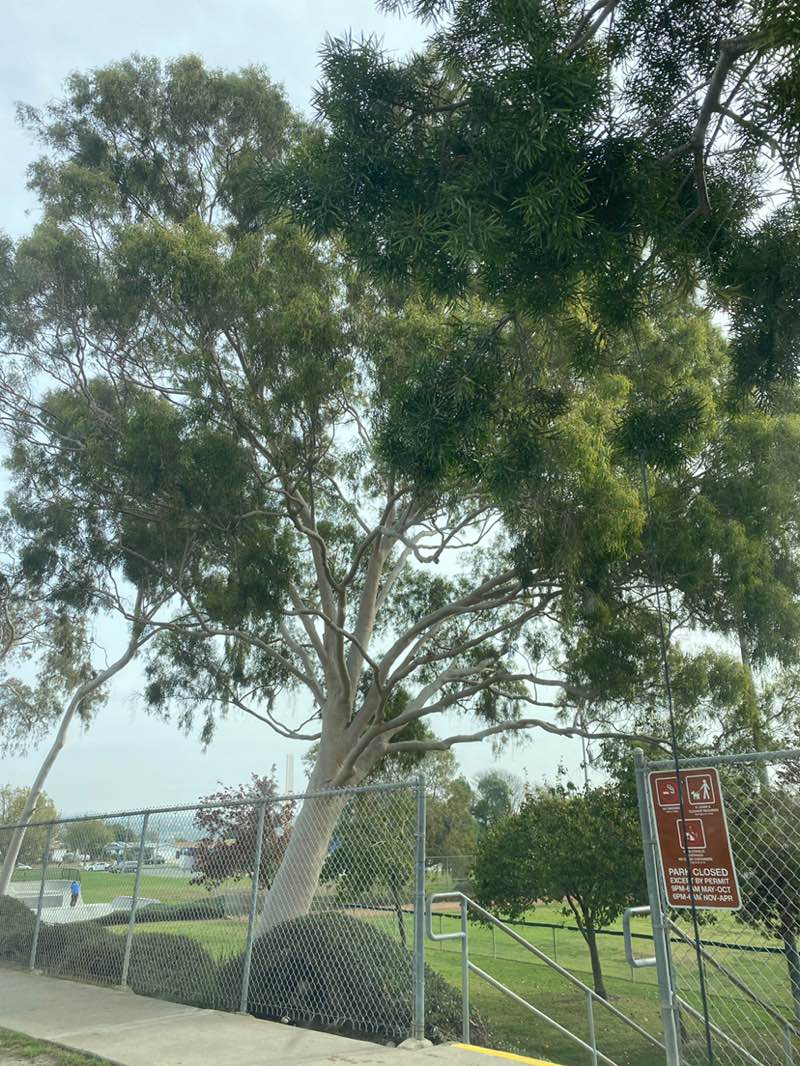 walking near me in John Landes Park in winter