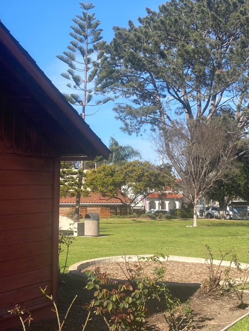 walking near me in Magee Park in spring